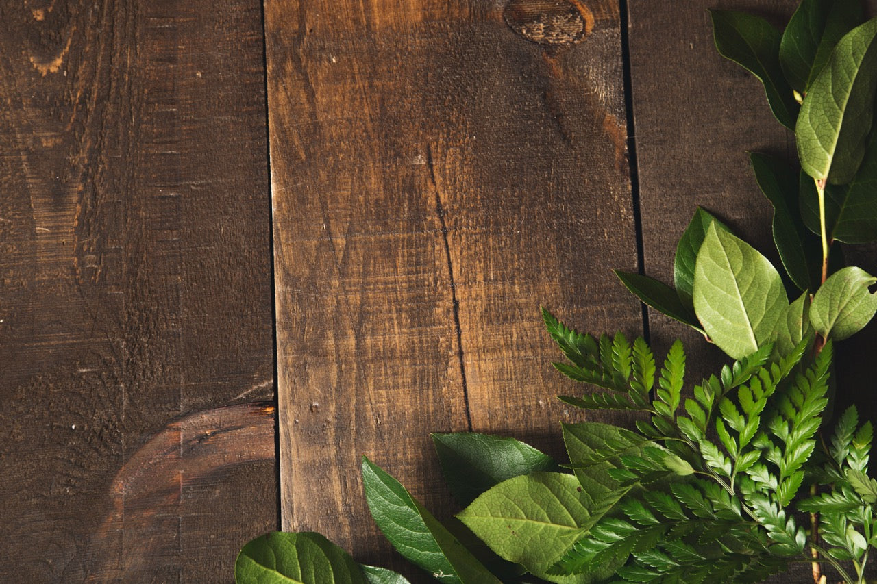 Dark wood background with green leaves . The image promotes Better Than Rocks as a solution for container drainage and plant support.