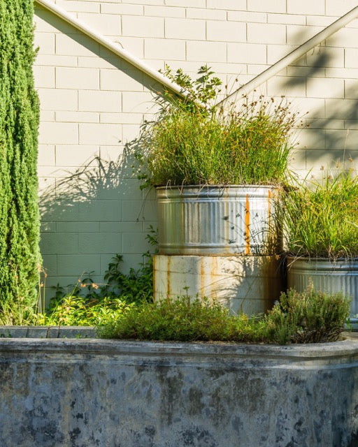 Round metal planters with ornamental grasses placed against a garden wall, where planter pot drainage material can reduce rust and heat stress.