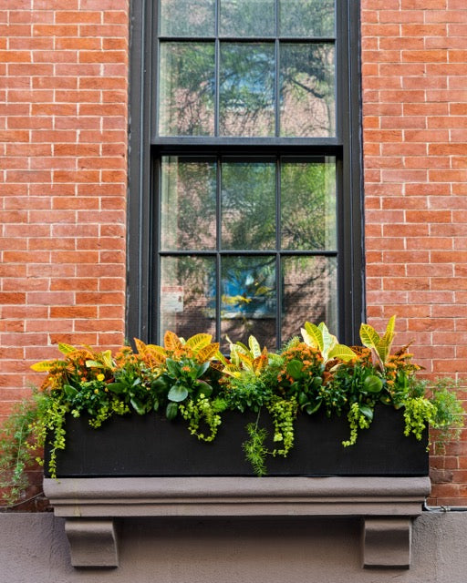 Colorful flowering plants growing in a black window box mounted to a red brick wall, where planter insert material helps manage shallow soil moisture.